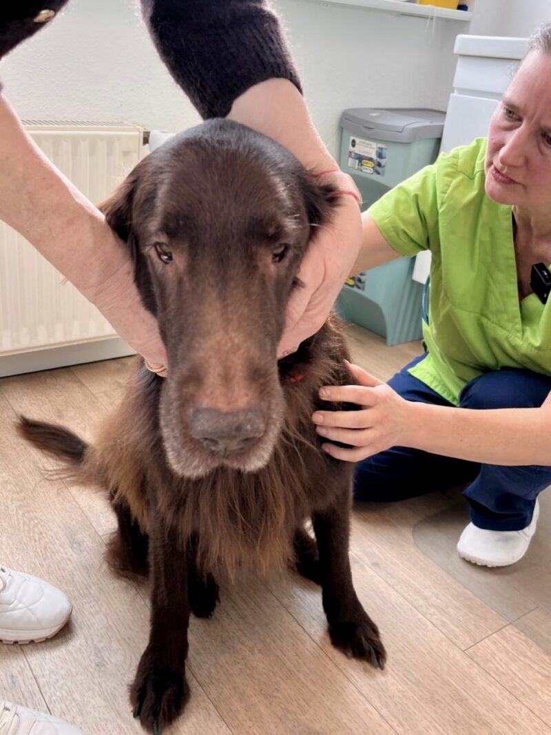 PHOTO 2026 03 08 11 13 38 2