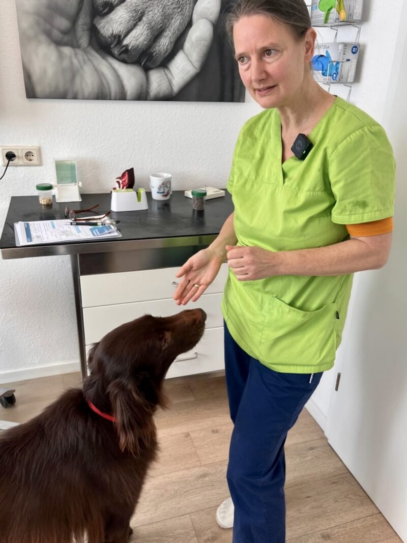 PHOTO 2026 03 08 11 13 38 3