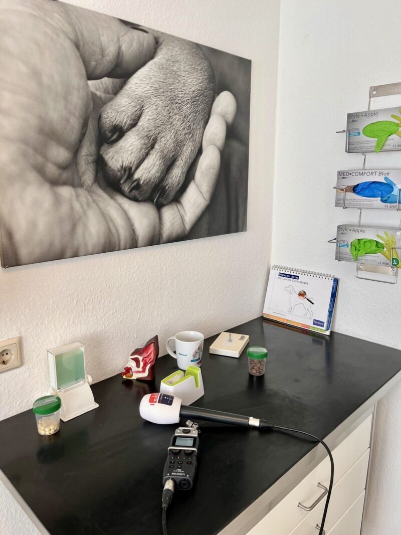 PHOTO 2026 03 08 11 13 38 6