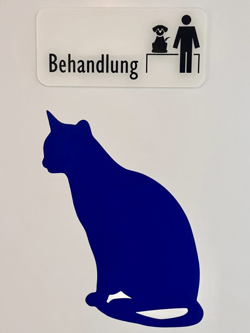 PHOTO 2026 03 08 11 13 38 7