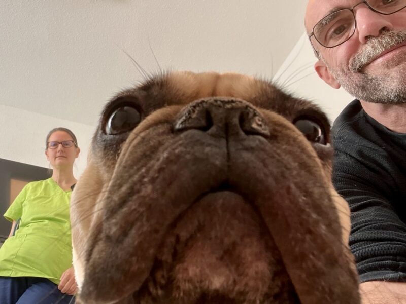 PHOTO 2026 03 08 11 13 38