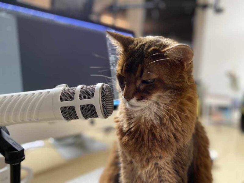 Pauli IMG 1661 screen