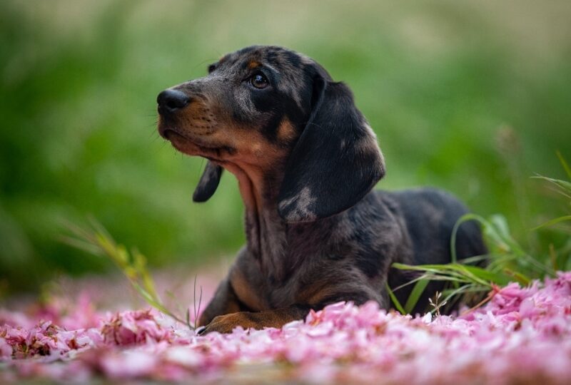 Screenshot 20190516 214135 Opera