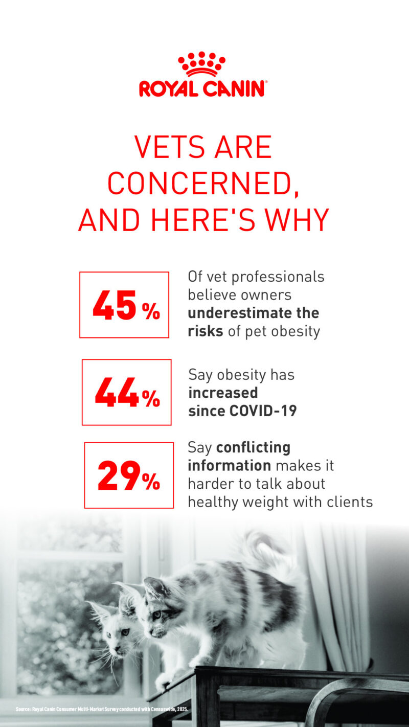 Static Assets 1 Stories Version 5