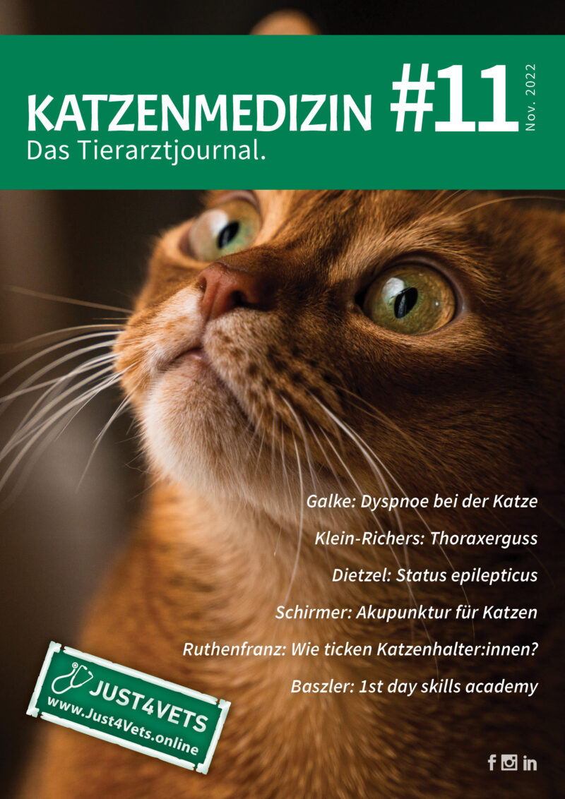 Titel Cats 11