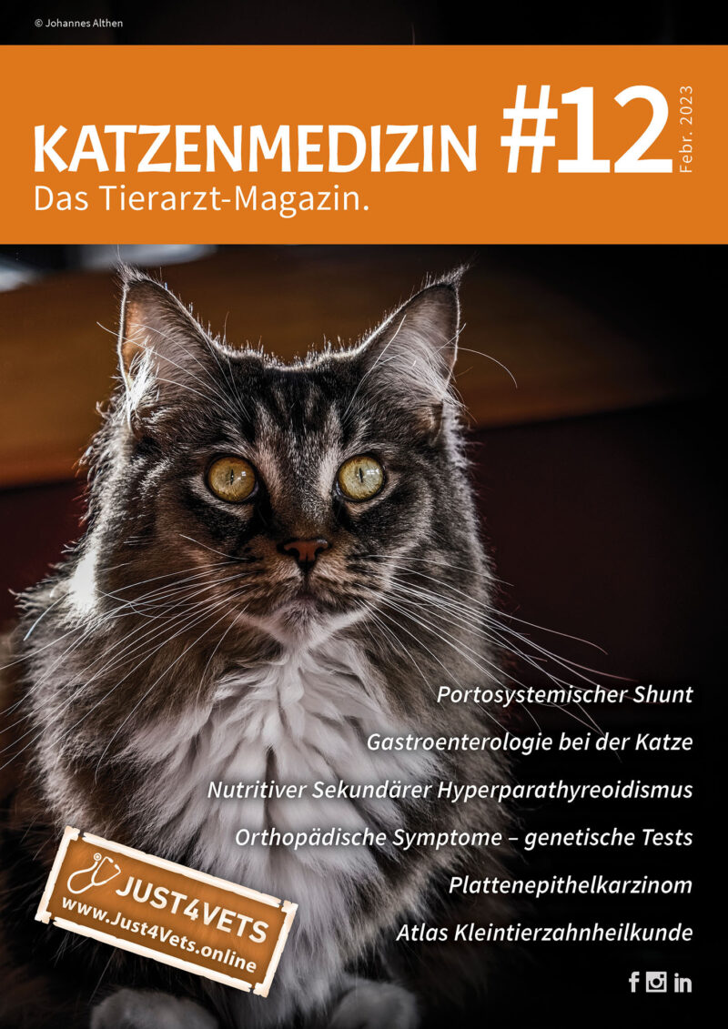 Titel Cats 12