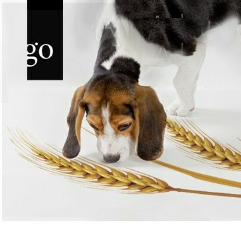 W383 Fuetterung Hund Katze Berk glutenfrei