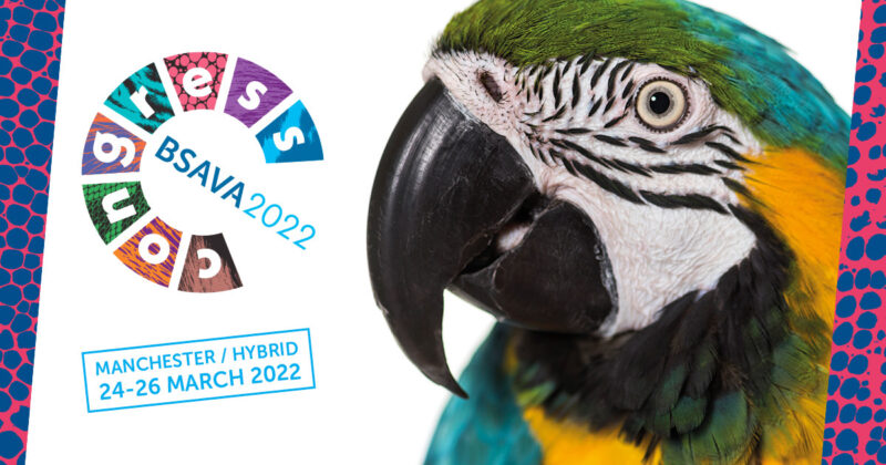 C22 i banner parrot fb tw 1200x630