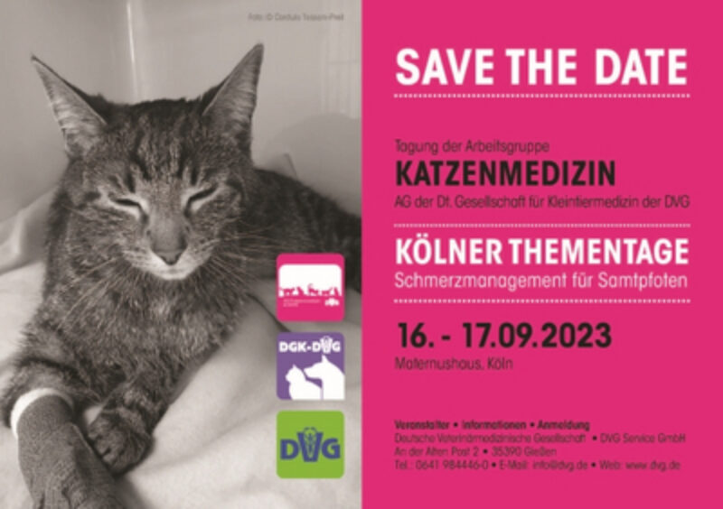 Csm 22 12 09 Koelner TT 2023 Save the Date cb699e8edf