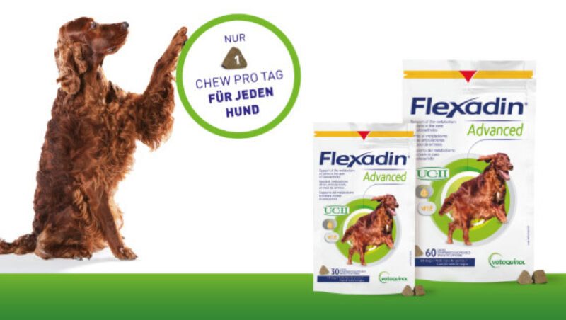 Flexadin dosierung