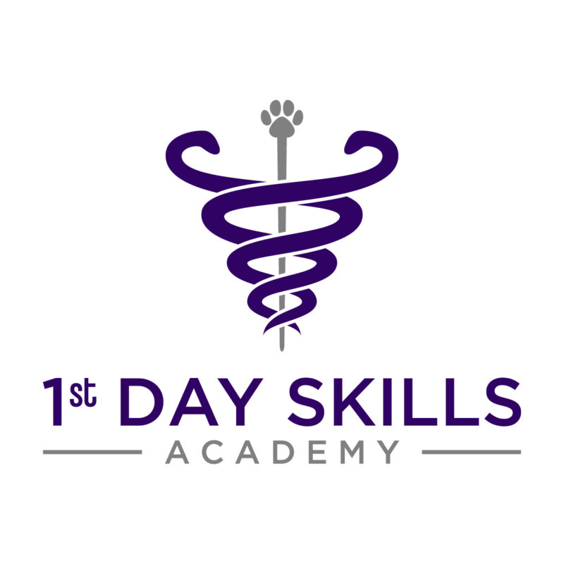 Logo 1stdayskills original