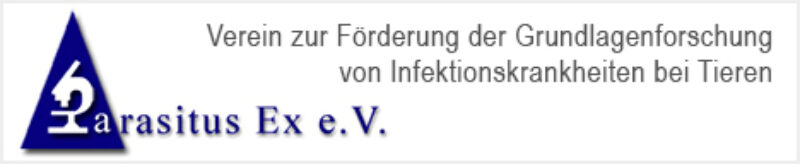 Oversize banner2 468x96