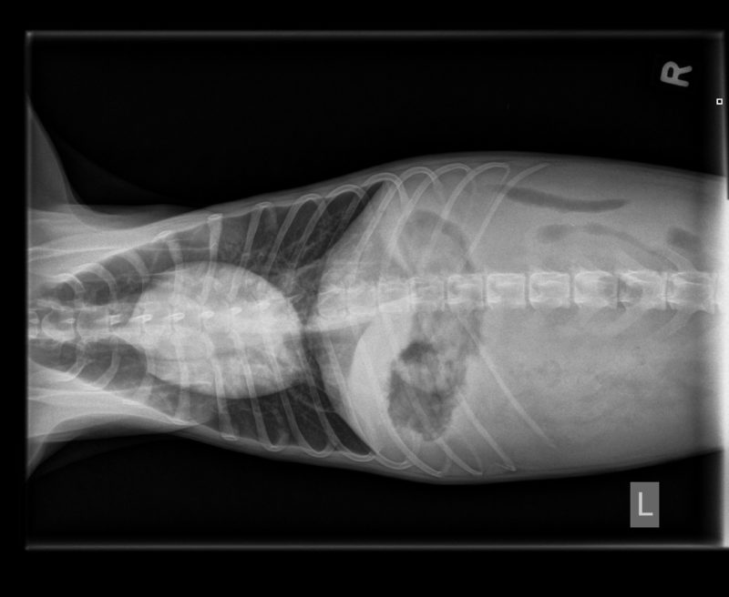 Scherm3 Uebersicht Vd