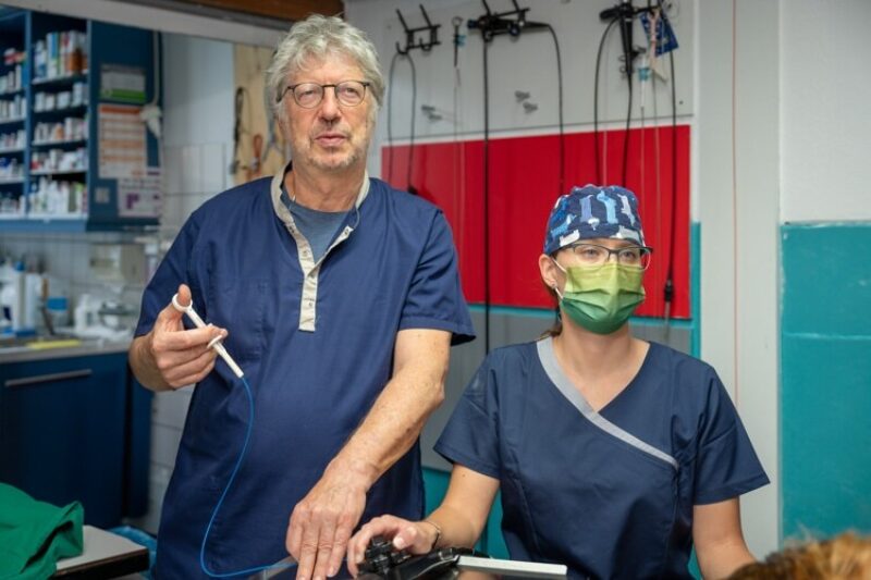 Tierarzt garmisch endoskopie tierarzt tieraerztin