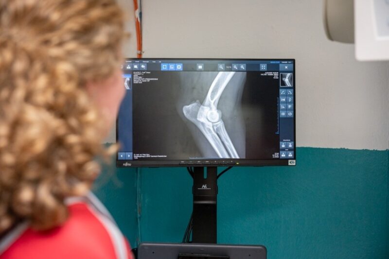 Tierarzt garmisch roentgenbild untersuchung