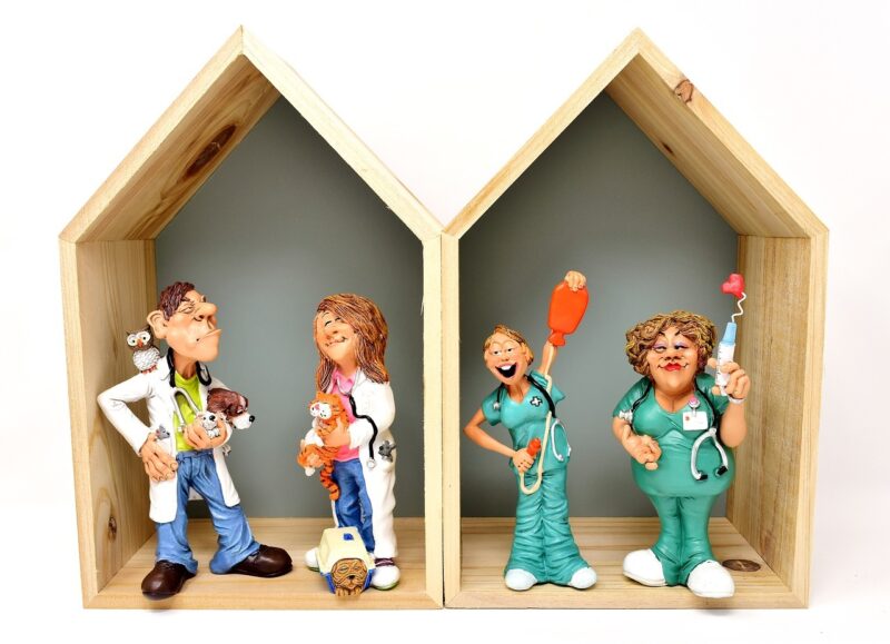 Veterinarian 3102456 1280