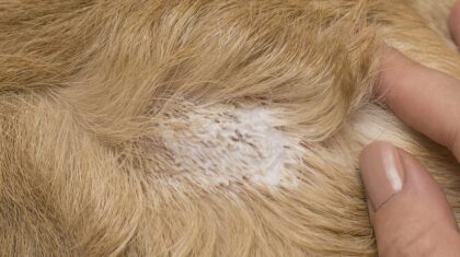 Bildschirmfoto 2020 11 09 um 14 54 47