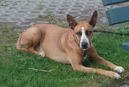 Bildschirmfoto 2020 11 09 um 15 44 49