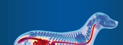 Bildschirmfoto 2020 11 09 um 15 55 41