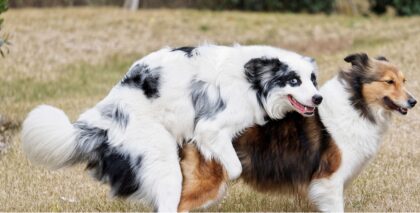 Bildschirmfoto 2020 11 09 um 16 35 01