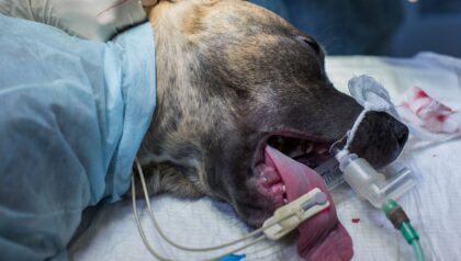 Bildschirmfoto 2020 11 09 um 16 43 50