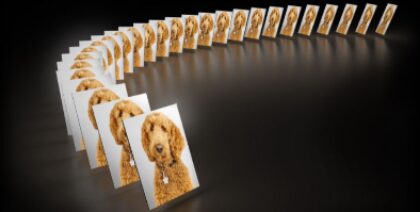 Bildschirmfoto 2020 11 10 um 08 24 39