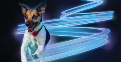 Bildschirmfoto 2020 11 10 um 15 01 31