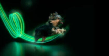 Bildschirmfoto 2020 11 10 um 15 51 37