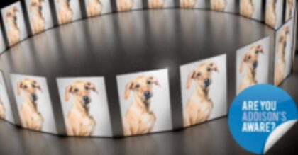 Bildschirmfoto 2020 11 10 um 15 54 53