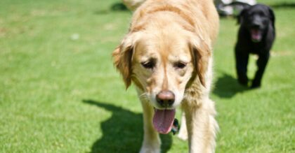 Bildschirmfoto 2020 11 10 um 16 42 17