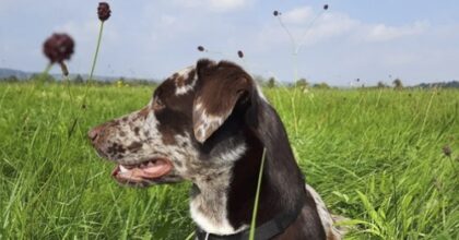 Bildschirmfoto 2021 12 16 um 20 35 35