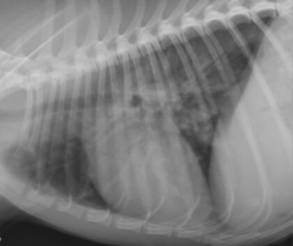 Bildschirmfoto 2021 12 16 um 21 07 18