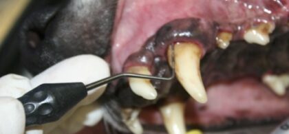 Bildschirmfoto 2021 12 16 um 21 50 18