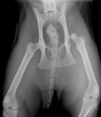 Bildschirmfoto 2021 12 16 um 22 01 06