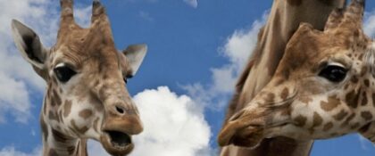 Bildschirmfoto 2021 12 16 um 22 23 56