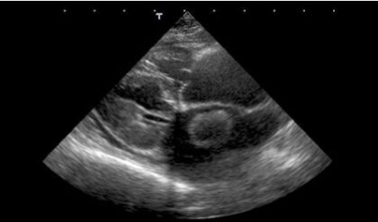 Bildschirmfoto 2021 12 16 um 22 55 05