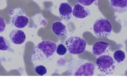 Bildschirmfoto 2021 12 16 um 23 23 49