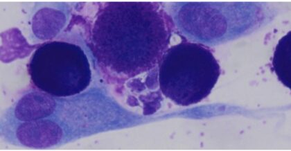 Bildschirmfoto 2021 12 16 um 23 27 47