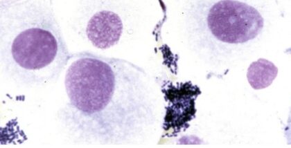 Bildschirmfoto 2021 12 16 um 23 35 24