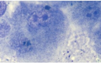 Bildschirmfoto 2021 12 16 um 23 37 38