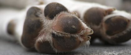 Bildschirmfoto 2022 10 21 um 15 37 22