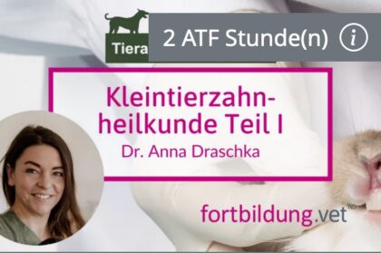 Bildschirmfoto 2023 08 28 um 10 26 34