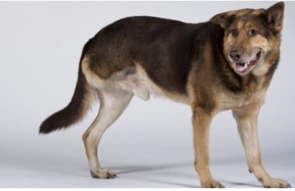 Bildschirmfoto 2024 01 08 um 18 23 19