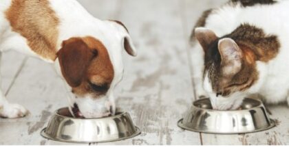 Bildschirmfoto 2024 01 08 um 18 42 43