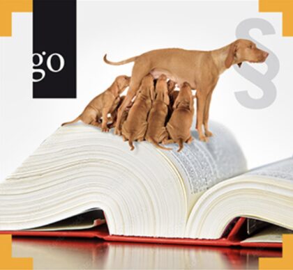 Bildschirmfoto 2024 01 14 um 12 10 35