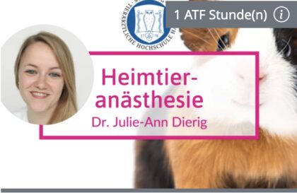 Bildschirmfoto 2024 05 27 um 12 08 53