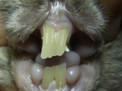 Bildschirmfoto 2025 01 03 um 11 22 49