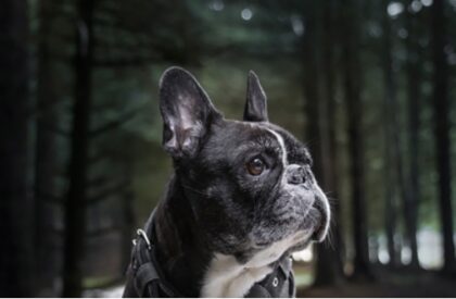 Bildschirmfoto 2025 01 03 um 18 58 35