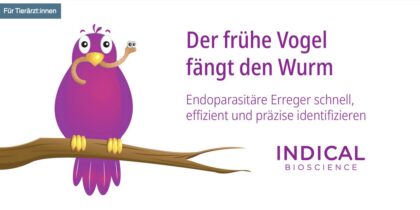 Bildschirmfoto 2025 05 26 um 14 52 47