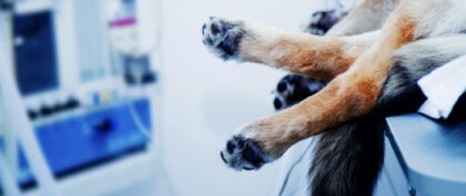 Bildschirmfoto 2025 12 28 um 12 44 22